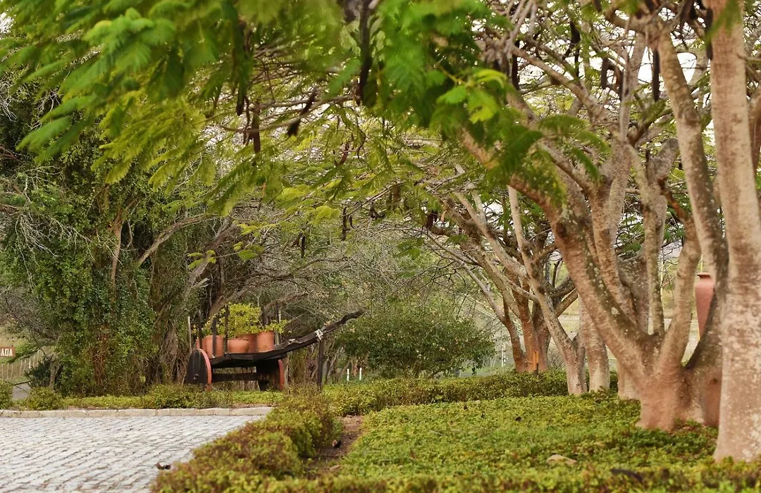 Pousada Fazenda Santa Fe-1